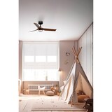 thumbnail of MINI PUNT S LED Gleichstromventilator in Schwarz/dunklem Holz