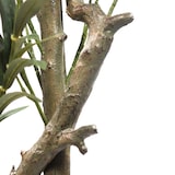 thumbnail of Pianta artificiale / albero artificiale OLIVE I 172 cm verde hjh OFFICE