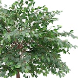 thumbnail of Banyan artificiale 2,90 m