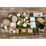 thumbnail of Firstpack WP13585 mini cassetta in legno 135x85x70 mm. Confezione da 48 pz.