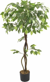 thumbnail of Bonerva | Ficus Deco 120 cm Altura | Planta artificial para decorar interiores: hogares, negocios y hoteles | Sin mantenimiento