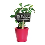 thumbnail of Securit® Tafel mit Holzspieß - Pfeil Silhouette - Inklusive Kreidestift