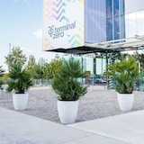 thumbnail of WellHome - Blumentopf "Accord Collection", Ø60cm, bronzefarben