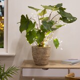 thumbnail of LED Draht Lichtbündel Pflanzenbeleuchtung Blumenstrauß 8 Stränge 100cm silber