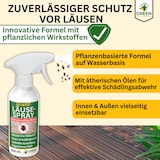 thumbnail of Läuse-Abwehrspray Power-Konzentrat: 500ml