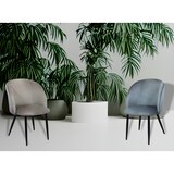 thumbnail of Sedia poltrona da interno ingresso salotto con struttura in acciaio e seduta rivestita in velluto colorato Camy -  Gray