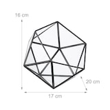 thumbnail of Relaxdays Pflanzenterrarium, Glas & Zinn, Deko Glashaus für Kakteen & Moos, offener Glaskasten für Fensterbank, schwarz