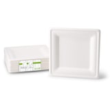 thumbnail of greenbox - Teller aus Zuckerrohr 20 x 20 cm, quadratisch, 50 St.