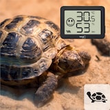 thumbnail of Digitales Thermo-Hygrometer schwarz