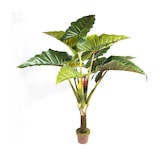 thumbnail of Arcoiris 170 Cm