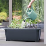 thumbnail of Regador de jardim 1,8L Prosperplast Koni na cor vermelha