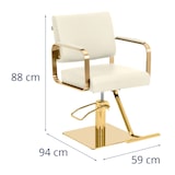 thumbnail of physa - Physa Fauteuil de Coiffure réglable en Hauteur avec Repose-Pieds 50-66 cm 200 kg Beige/Or - Fauteuil de Salon de Coiffure Chaise