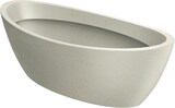 thumbnail of WellHome - Blumentopf aus Rotationsgeformtes Polyethylen 16L 60x28x20cm in farbe Sandweiß - Aria Oval