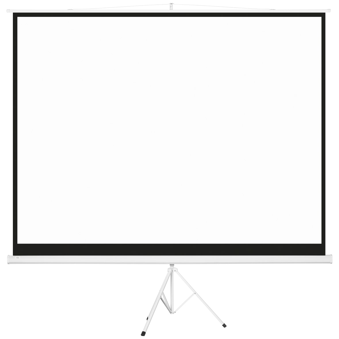 HOMCOM Pantalla de Proyector Manual con Soporte 120 Pulgadas Pantalla de Proyección Formato 4:3 con Altura Ajustable para Cine en Casa 244x183 cm