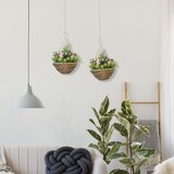 thumbnail of Outsunny Set di 2 Piante Finte Lisianthus da Appendere con Vaso