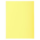 thumbnail of Exacompta - Réf. 330005E - Carton de 500 chemises rigides SUPER 210 g/m2 - dim 24 x 32cm pour A4 - couleur canari