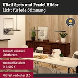 thumbnail of Paulmann URail Pendel 3-Step-Dim Hildor  850lm 15W 3000K dimmbar 230V Chrom matt 96790