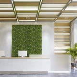 thumbnail of Pflanzenmatte /-wand MORE GREEN I 50 x 50 Kunststoff grün hjh OFFICE