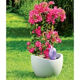 thumbnail of Scheurich Bördy XL, Wasserspeicher aus Kunststoff,  Farbe: Bördy XL, Purple Pearl, 8,32 cm Breite, 4,66 cm Tiefe, 29 cm hoch, 0,6 l Vol.