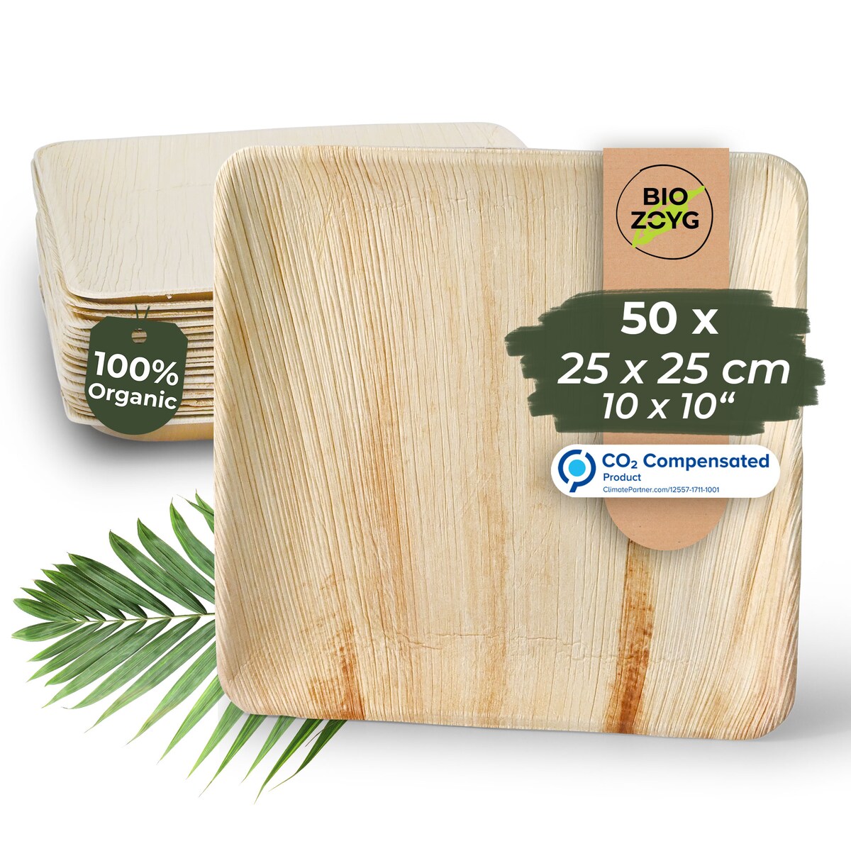 BIOZOYG 50 Stück Einwegteller 25x25cm Palmblatt-Teller, quadratisch, biologisch abbaubar, umweltfreundlich, kompostierbar, Wegwerfteller