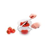 thumbnail of Passevite Handy