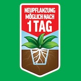 thumbnail of Roundup Unkrautfrei TOTAL, 3 L Sprühflasche