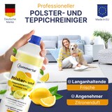 thumbnail of Sommertal Polster- und Teppichreiniger, 6L Profi Konzentrat, für über 40 Waschvorgänge, geeignet für Sofa, Polster, Auto Sitze, Teppich