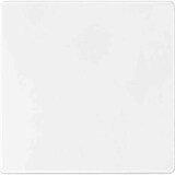 thumbnail of AQUADESIGN Taste einteilig, Dimmer, polarweiß, glänzend, ohne ISO Aufdruck