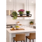 thumbnail of FLOWERS estante suspendido Techo 115 cm MARRON con cadenas para flores jardín vertical portabotellas vidrio bar cocina de Yelloo