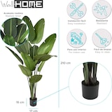 thumbnail of Well Home - Palmera platanera artificial con maceta negra para interior 210 cm