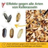 thumbnail of Kellerasseln Falle mit Spezial-Lockstoff: 3