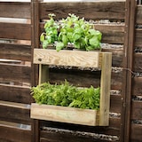 thumbnail of HORTALIA Jardinera vertical Stand Line Wall KD 2B en madera tratada para exterior