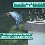 thumbnail of PRIOstahl Taubenabwehr Vogelschreck 4-reihig 5 Meter (10 x 0,50cm Spikes) Vogelabwehr aus Edelstahl