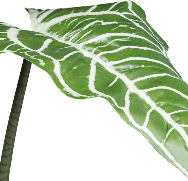 mobile_image