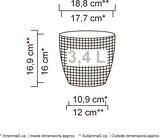 thumbnail of Scheurich PIMIENTA       19/866 Übertöpfe