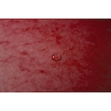 thumbnail of Exacompta 5515E 25x Eckspannmappe mit Gummizug ohne Klappe, aus Colorspan-Karton 400g/m2, für Format DIN A4 - Rot