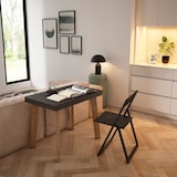 thumbnail of Ausziehbarer Konsolentisch, 302x90x73cm, Für 14 Personen, Holzbeine, Moderner Stil, Schwarz _ 359_49