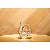 thumbnail of Royal Leerdam Weinglas 805222 805222 runda 72 cl - Transparent 6 Stück