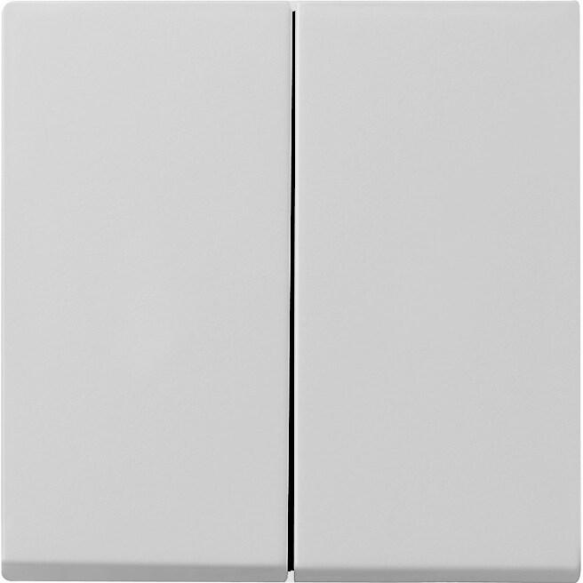Gira Wippe 2-f. 0295015