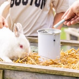 thumbnail of Spendendose, HMF 46000-07, 14,5 x 10 cm, Lichtgrau