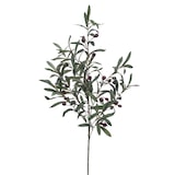 thumbnail of OLIVO 100 CM (Pincha y Decora) (6 unidades)