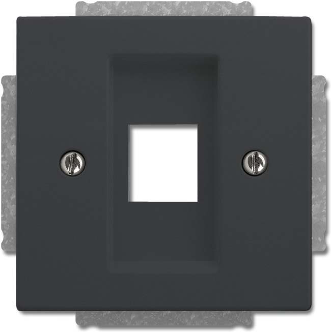 Busch-Jaeger Zentralscheibe anthrazit 2561-81 2CKA001753A0400