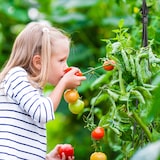 thumbnail of Relaxdays Rankhilfe Obelisk, 2er Set, HBT: 120x16x16 cm, Rankpyramide Kletterpflanzen, Metall, freistehend, schwarz