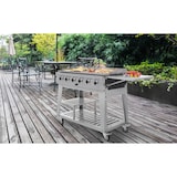 thumbnail of METRO PROFESSIONAL Plancha de gas con 6 quemadores, acero/acero inoxidable, 165x62x101 cm, mesa lateral, con funda protectora y ruedas, plateado