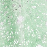 thumbnail of Rasia 100 Lapisblau / Silber 2,00qm - 2,60qm