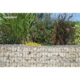 thumbnail of Schanskorven Draadmanden Tuinafscheiding 100x80x30cm - Weerbestendige Gabionen - 5x10cm Metaal