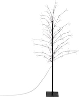 Ein schwarzer Baum mit Lichtern.