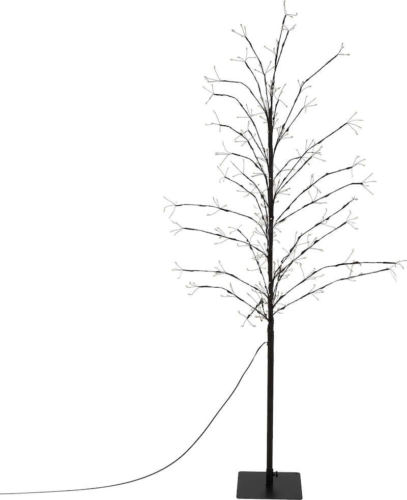 Ein schwarzer Baum mit Lichtern.