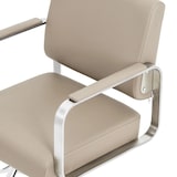 thumbnail of physa - Physa Fauteuil de Coiffure réglable en Hauteur avec Repose-Pieds 50-66 cm 200 kg Beige/Argent Fauteuil de Salon de Coiffure Chaise