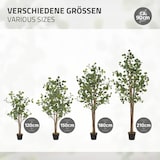 thumbnail of ML-Design – Künstlicher Eukalyptus – 180 cm | Naturholzstamm, im Topf, Kunstbaum wie echt für Wohnzimmer & Büro